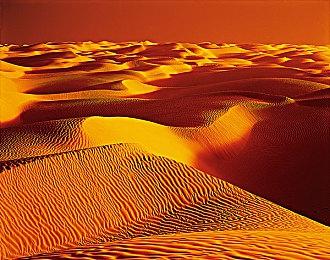 科隆：《子弹风暴VR》正式公布12月15日发售 页面上线