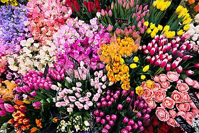 全新免费DLC《闪避刺客：离奇的一天》即将登录WePlay2025!